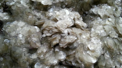碱性凯发K8国际酶解鱼鳞制备胶原蛋白多肽，成品有沉淀？