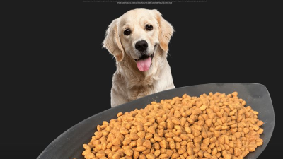 宠物犬粮风味剂的生产离不开酶制剂的应用